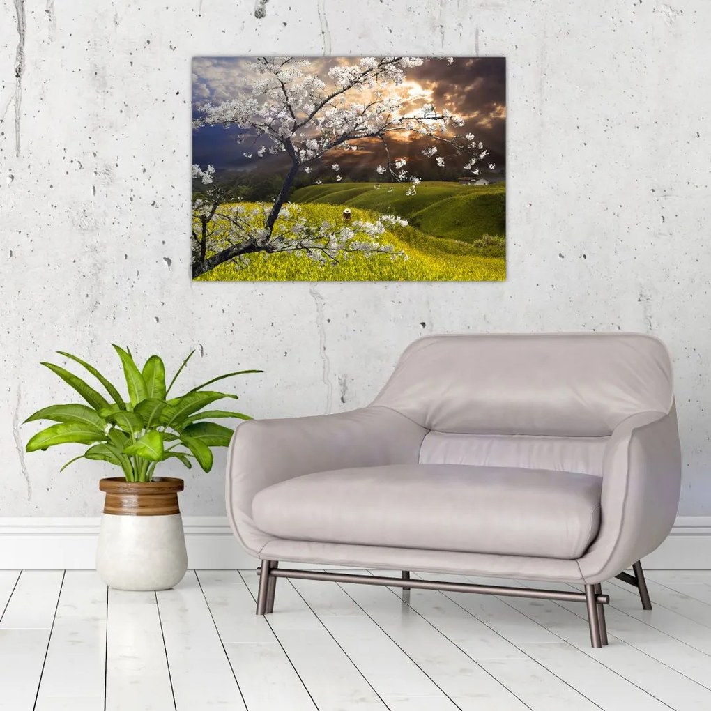 Tablou pe sticlă - Peisaj cu pomul înflorit (70x50 cm)