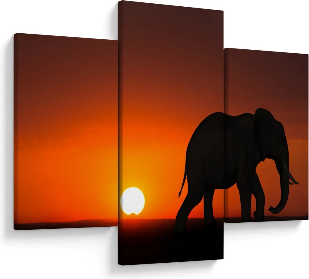 Tablou cu elefant în apus de soare (90x60 cm)