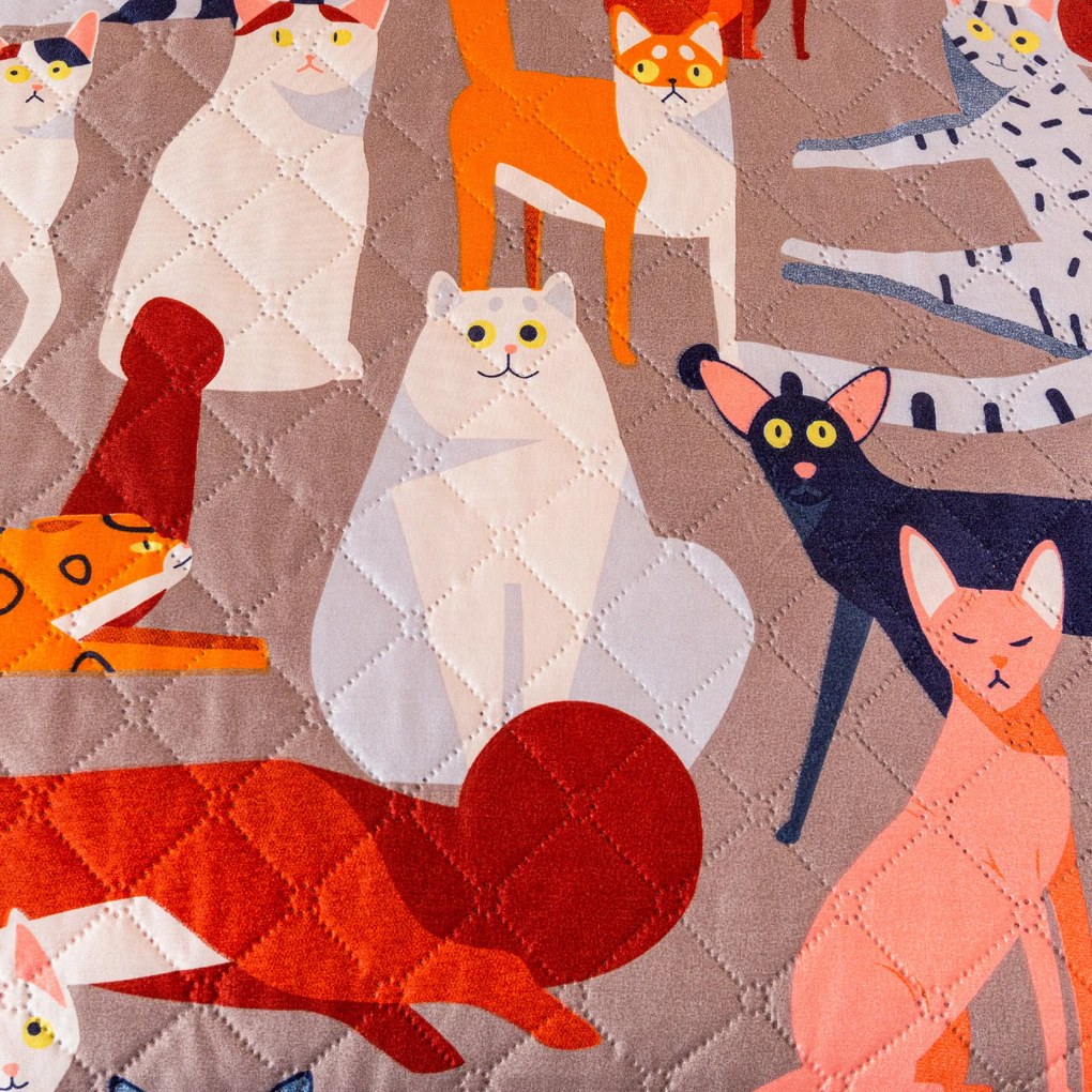 Cuvertura de pat CATMOSPHERE, colorat Dimensiune: 220 x 240 cm
