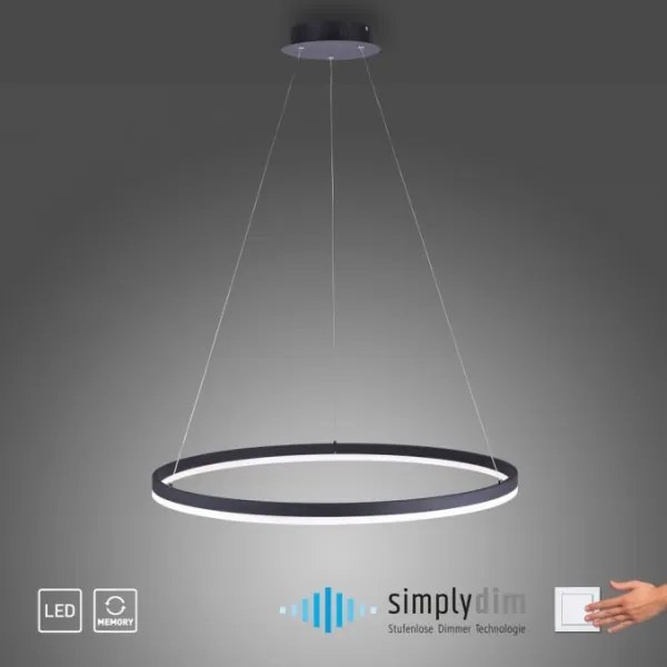 Lustră LED dimabilă pe cablu TITUS LED/50W/230V Paul Neuhaus 2383-13
