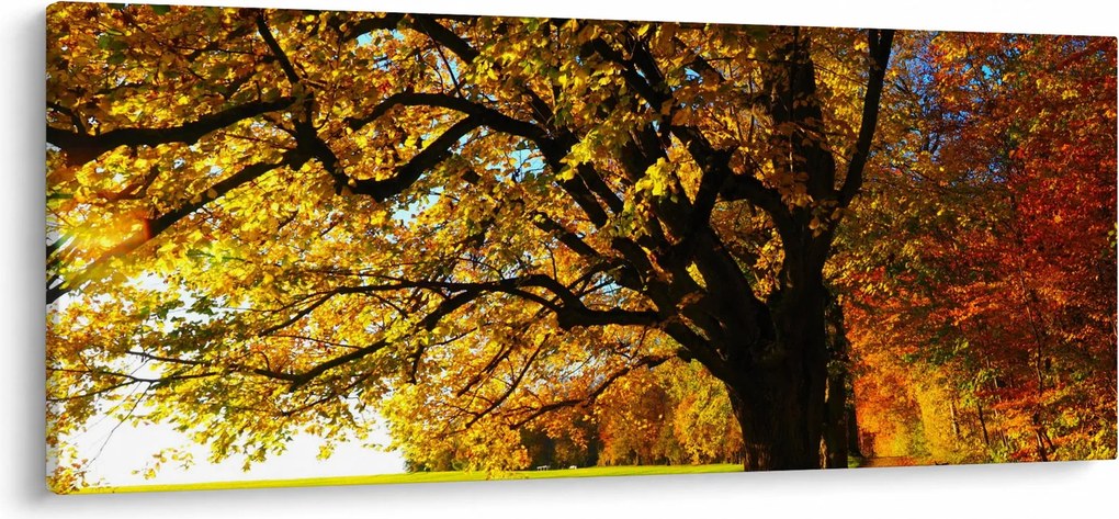 Tablou cu toamna (120x50 cm)