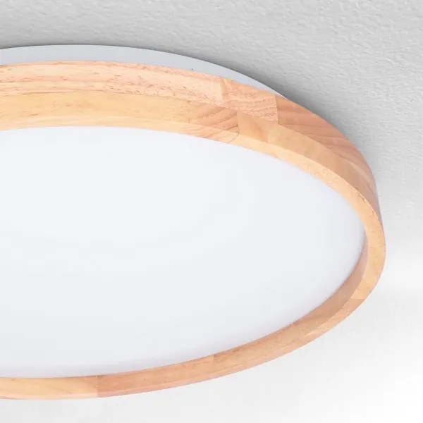 Brilagi - Plafonieră LED dimabilă ALSON LED/48W/230V 3000-6500K + telecomandă