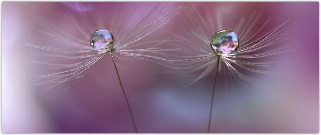 Tablou cu picături pe puf (120x50 cm)
