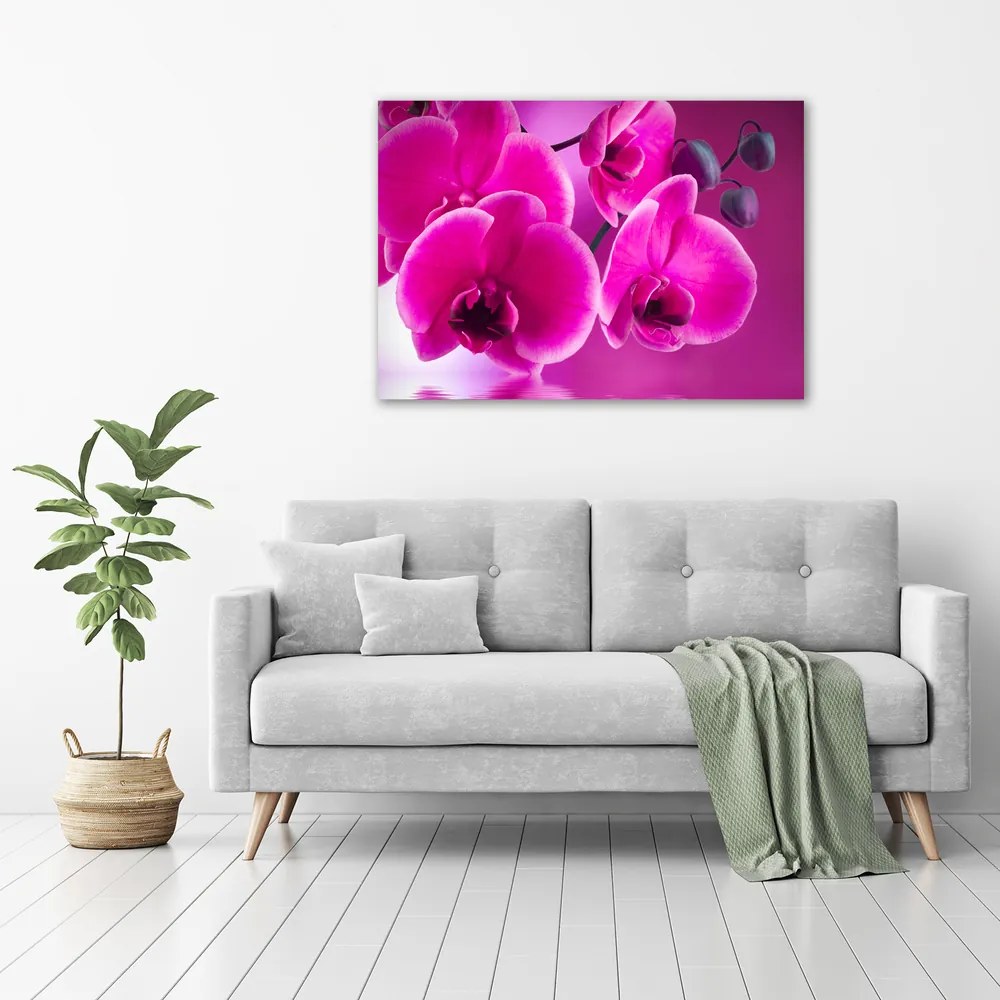 Imprimare tablou canvas Orhidee