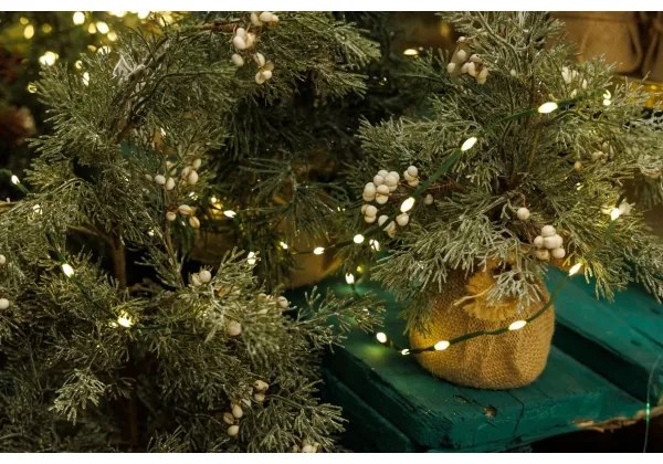 Instalație LED de Crăciun de exterior LINE 700xLED/8 funcții 40 m IP44 alb cald