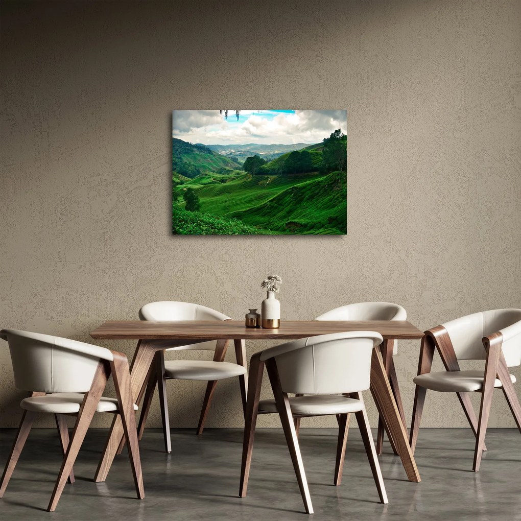 Tablou Plantații de ceai - Malaezia (70x50 cm)