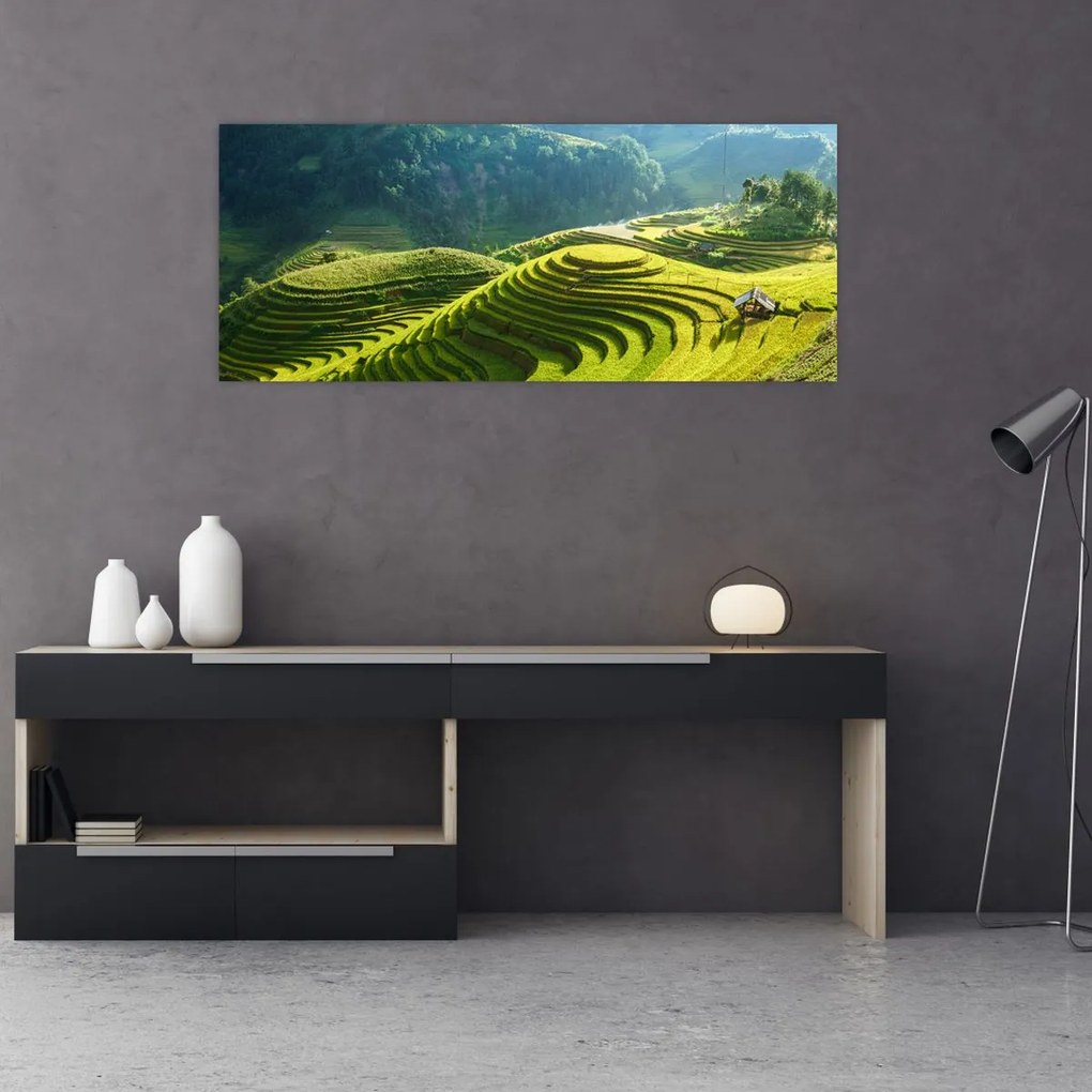 Tablou - Concert Terase de orez (120x50 cm)