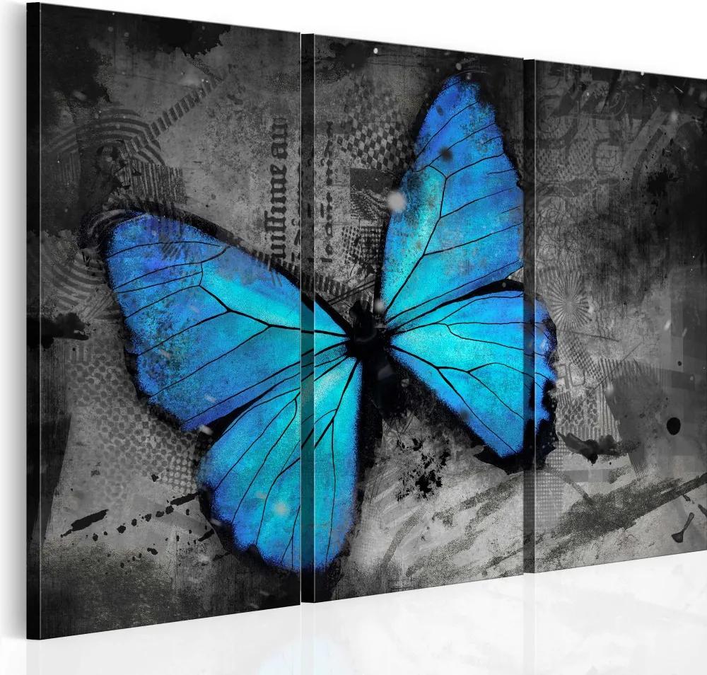 Tablou Bimago - The study of butterfly - triptych 60x40 cm