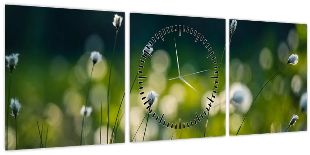 Tablou - Iarbă (cu ceas) (90x30 cm)