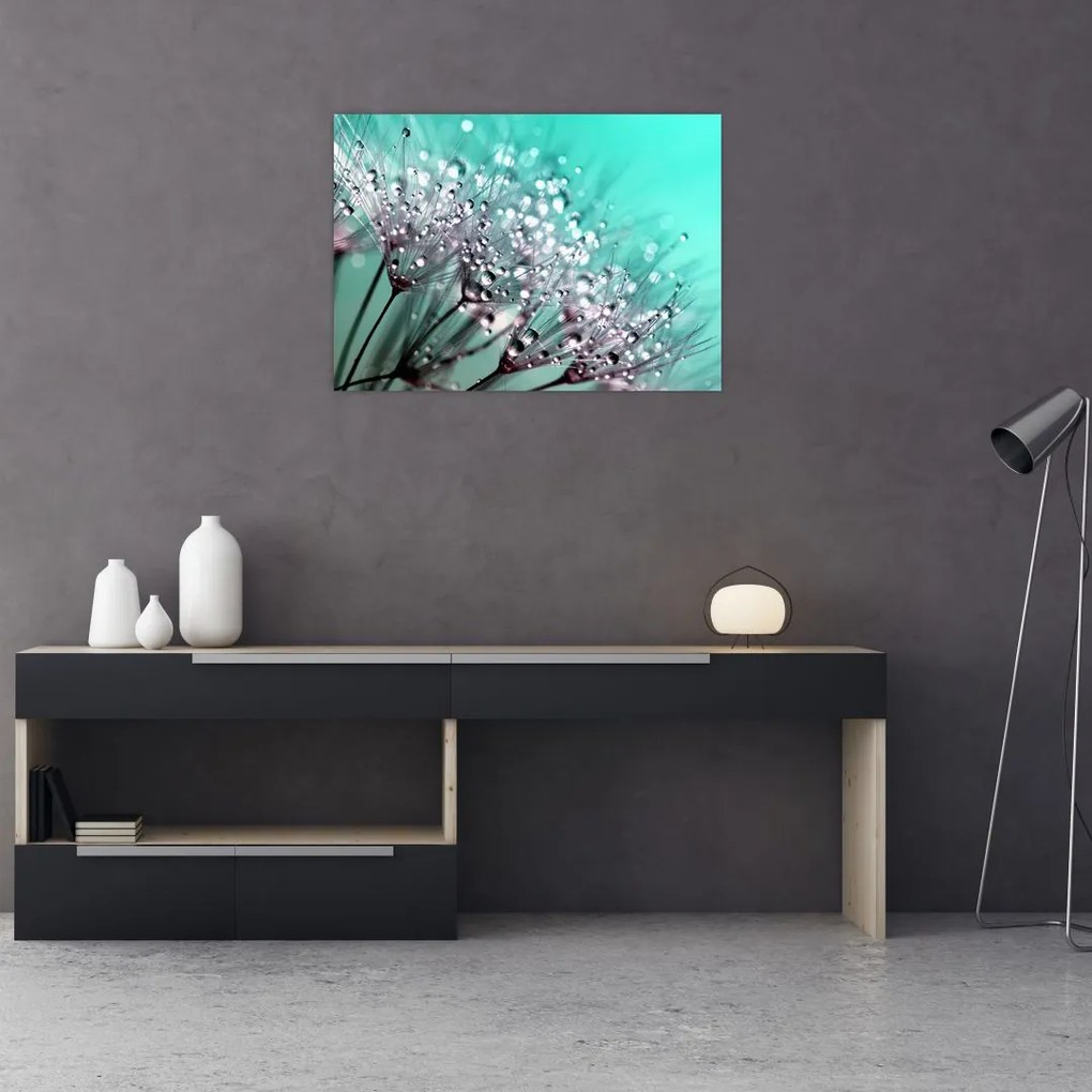 Tablou - planta cu rouă (70x50 cm)