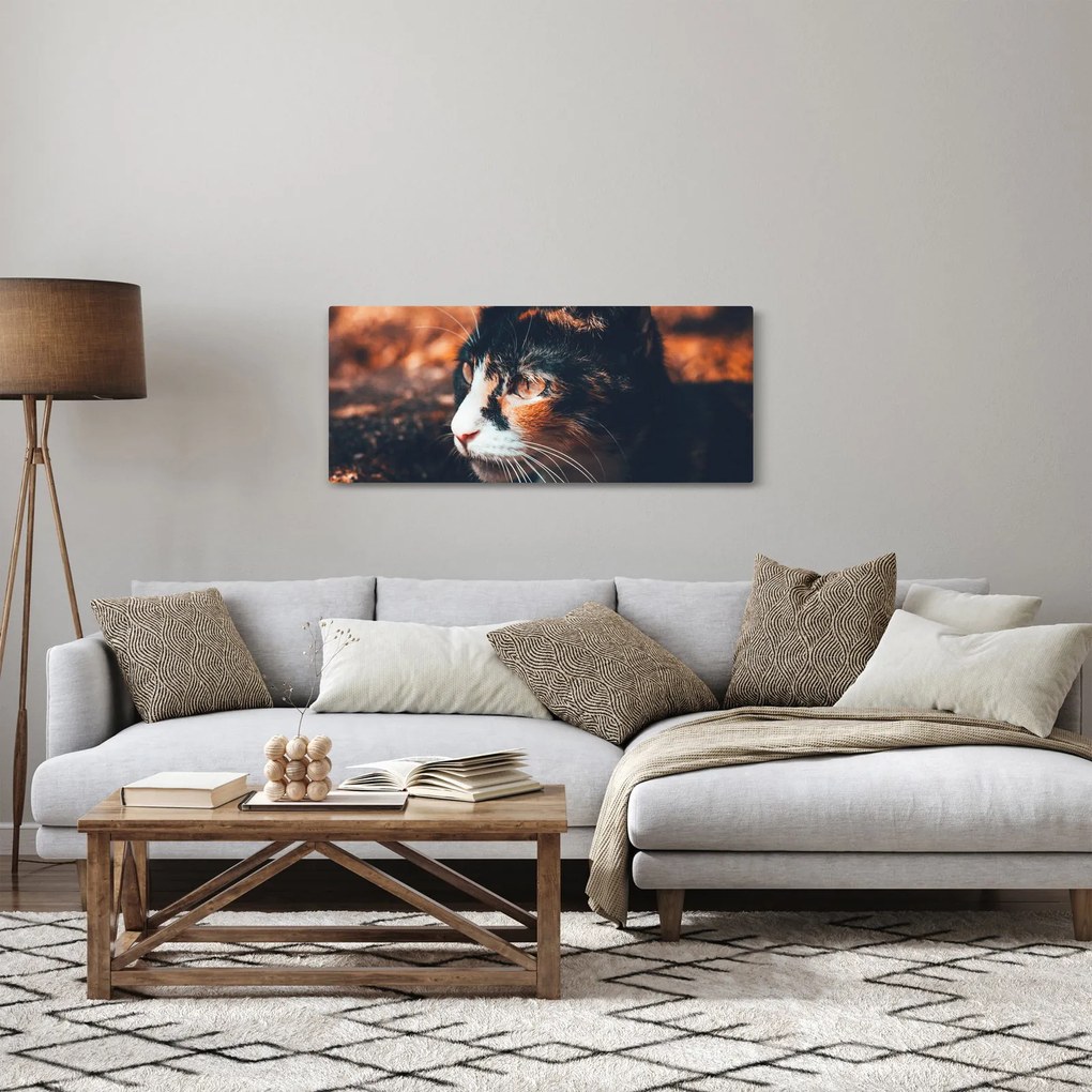 Tablou - Privirea pisicii (120x50 cm)