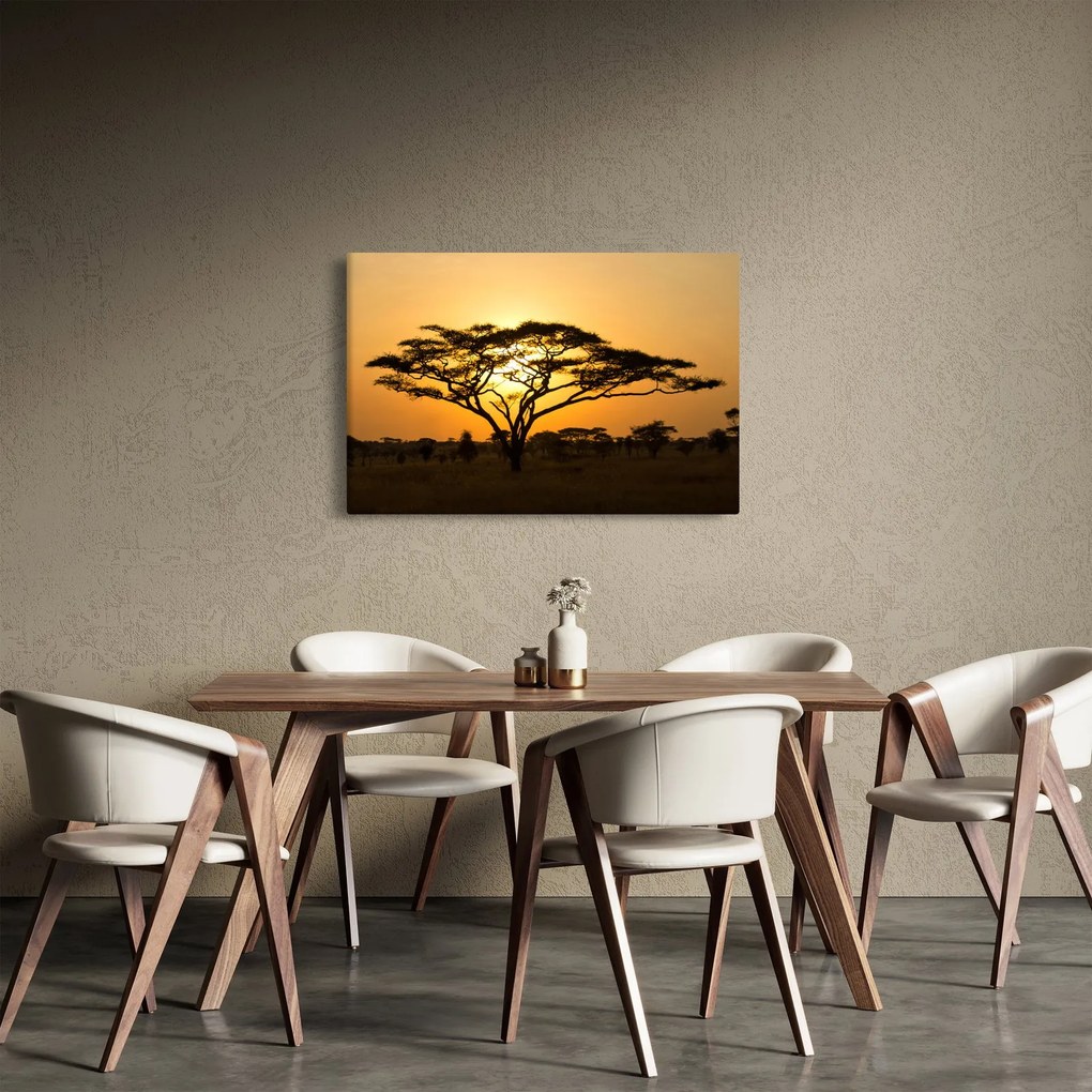Tablou - Savana africană (90x60 cm)