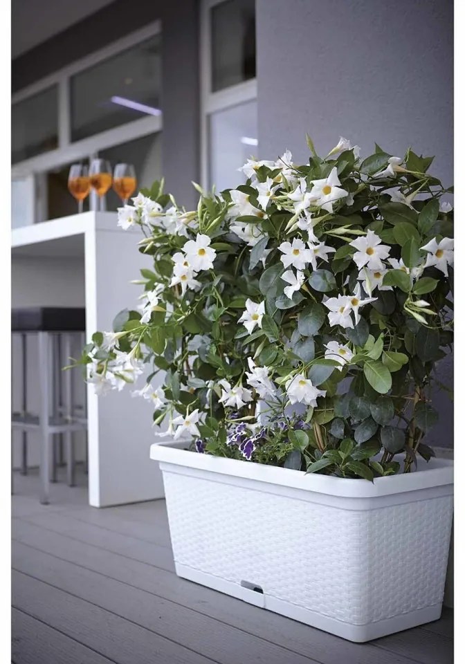 Jardiniera, Tortora, Vetro-Plus, 30x13x11 cm, plastic, maro