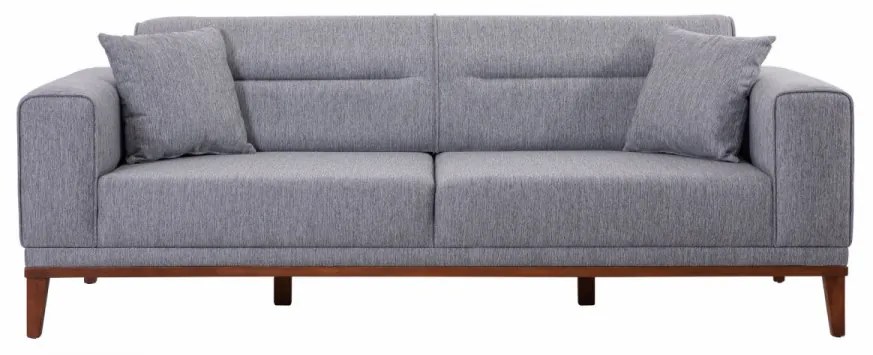 Set Canapea Extensibilă si Fotoliu Liones Tepsili, Gri