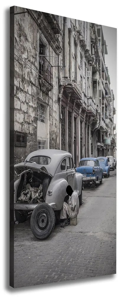 Tablou pe pânză Havana