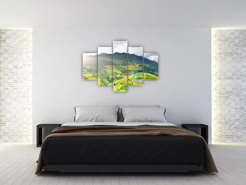Tablou plantație (150x105 cm)