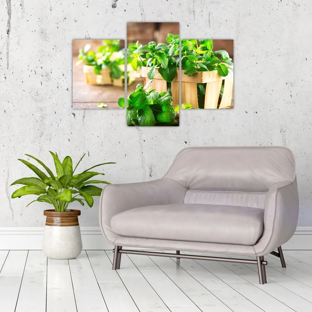 Tablou cu menta proaspătă (90x60 cm)