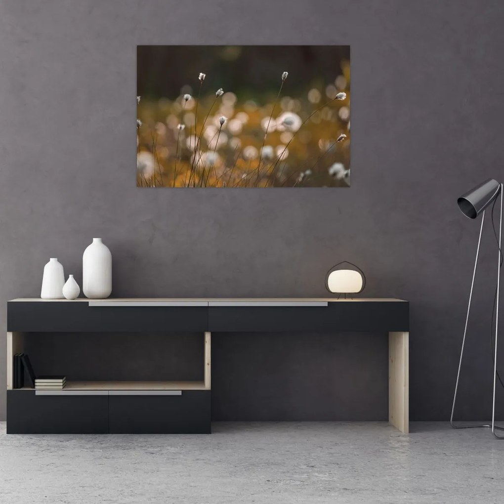 Tablou - Pajiște cu iarbă de cozonac N⁰2 (90x60 cm)