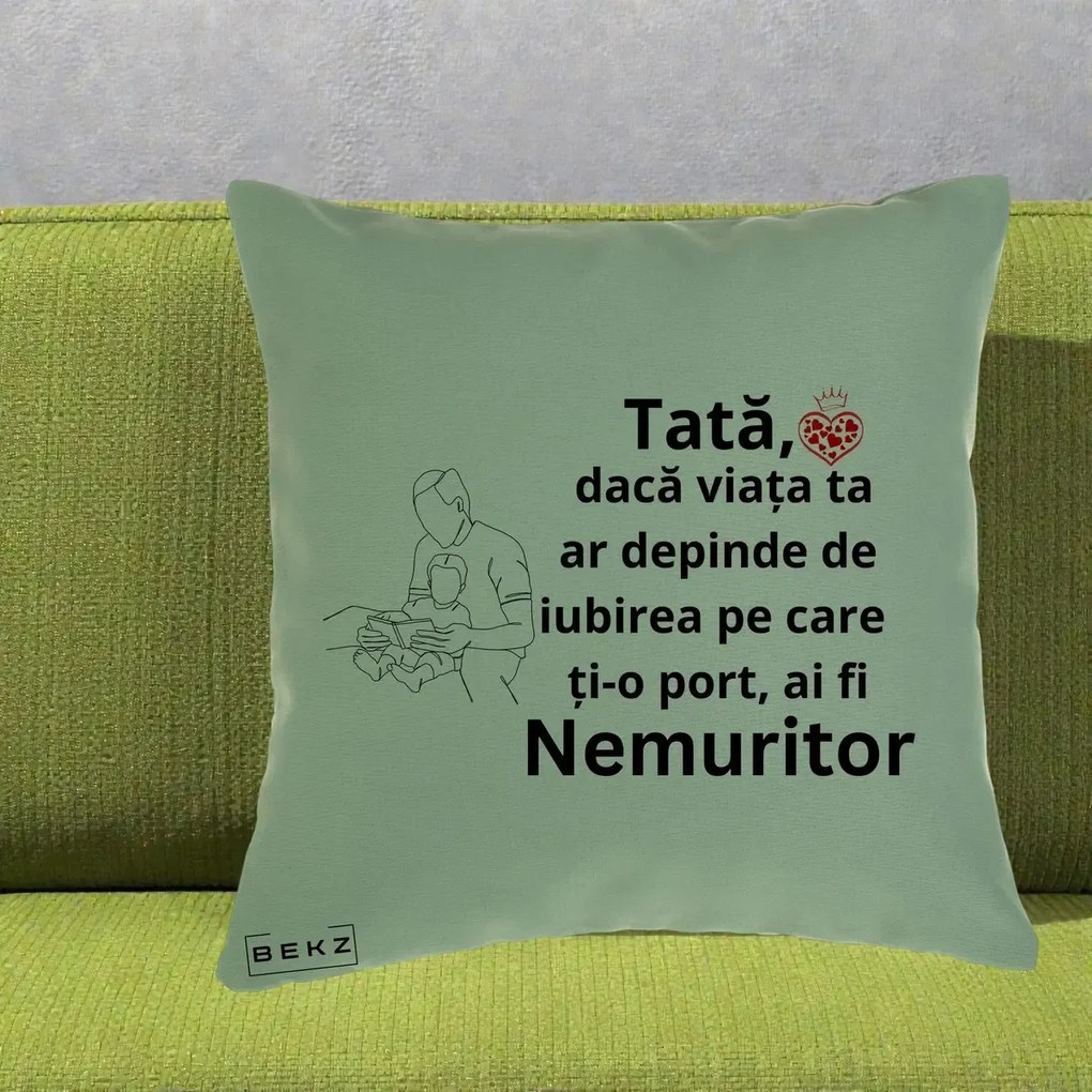 Cadou pentru Tata - Perna Personalizata Tata Nemuritor Lectura, 40x40 cm, Verde, Husa Detasabila, Perna Inclusa, BEKZ®