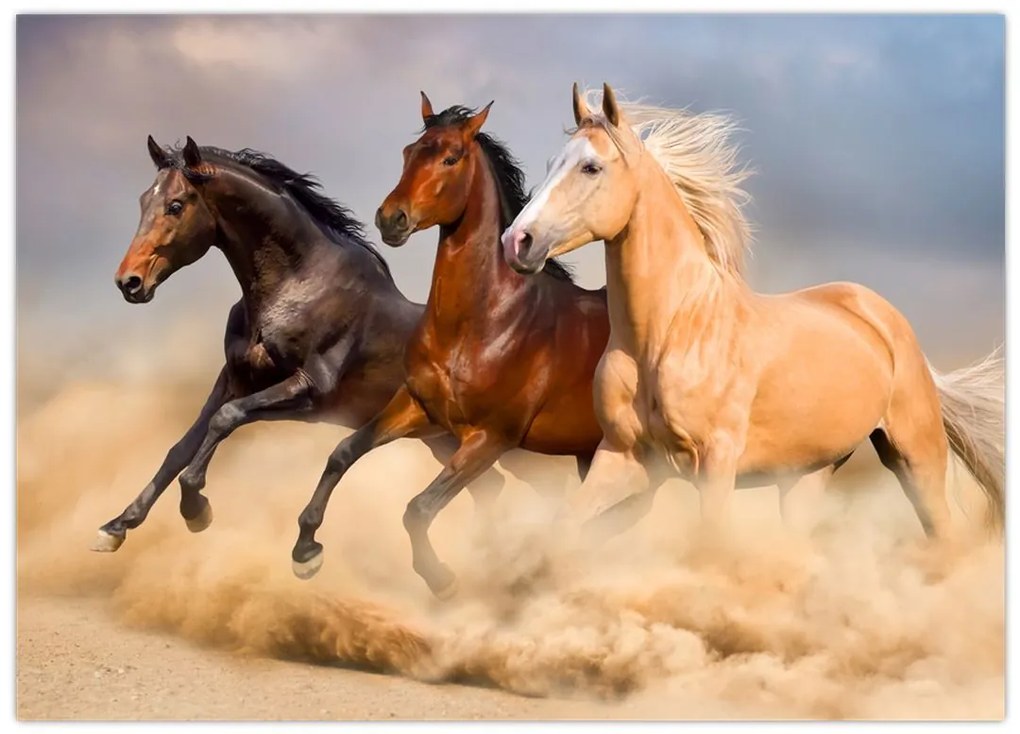 Tablou - Cai sălbatici (70x50 cm)