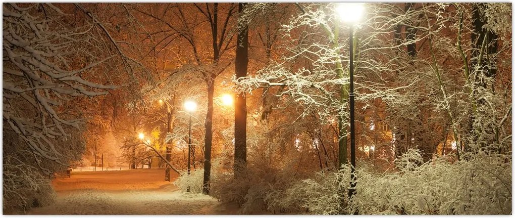 Tablou - Parcul înzăpezit (120x50 cm)
