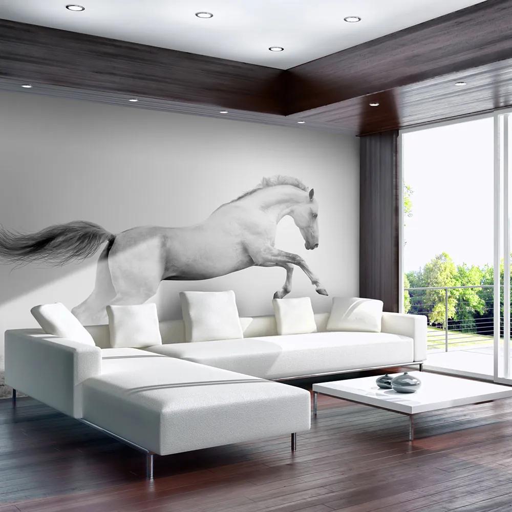 Fototapet Bimago - White gallop + Adeziv gratuit 200x154 cm