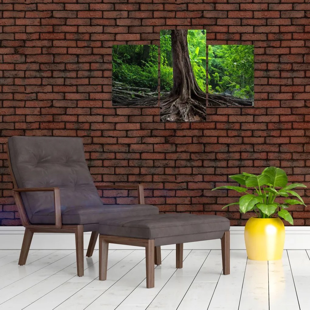 Tablou - Copac bătrîn cu rădăcini (90x60 cm)