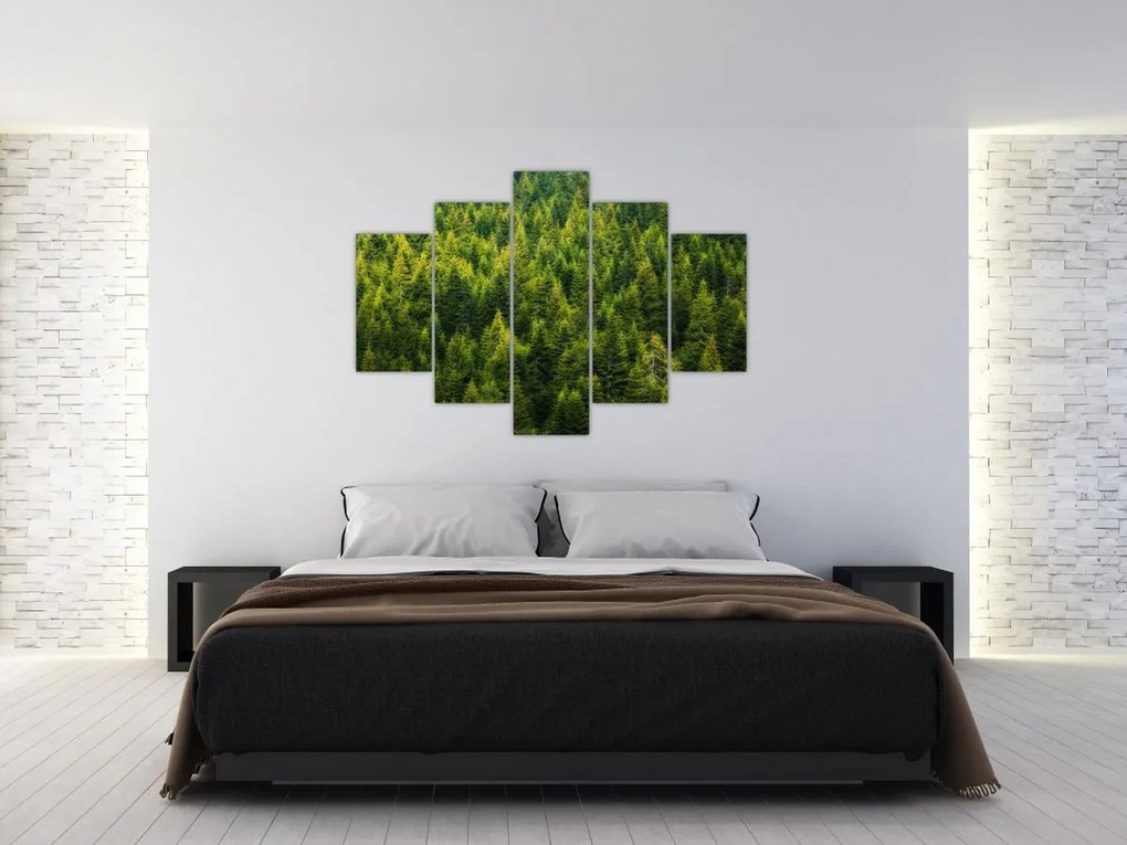Tablou - Pădure deasă (150x105 cm)