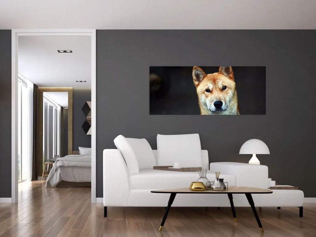 Tablou cu câine (120x50 cm)