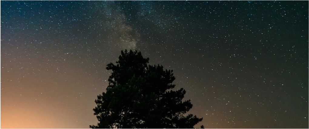 Tablou cu cerul nocturn și copaci (120x50 cm)