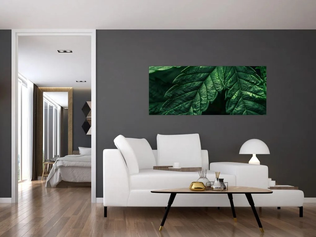 Tablou - Detaliu al foii (120x50 cm)