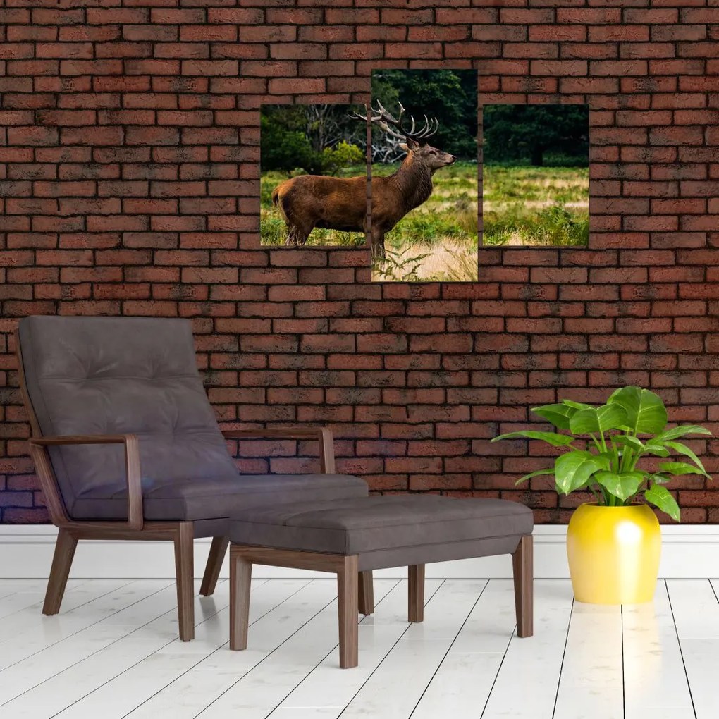 Tablou cu cerb (90x60 cm)
