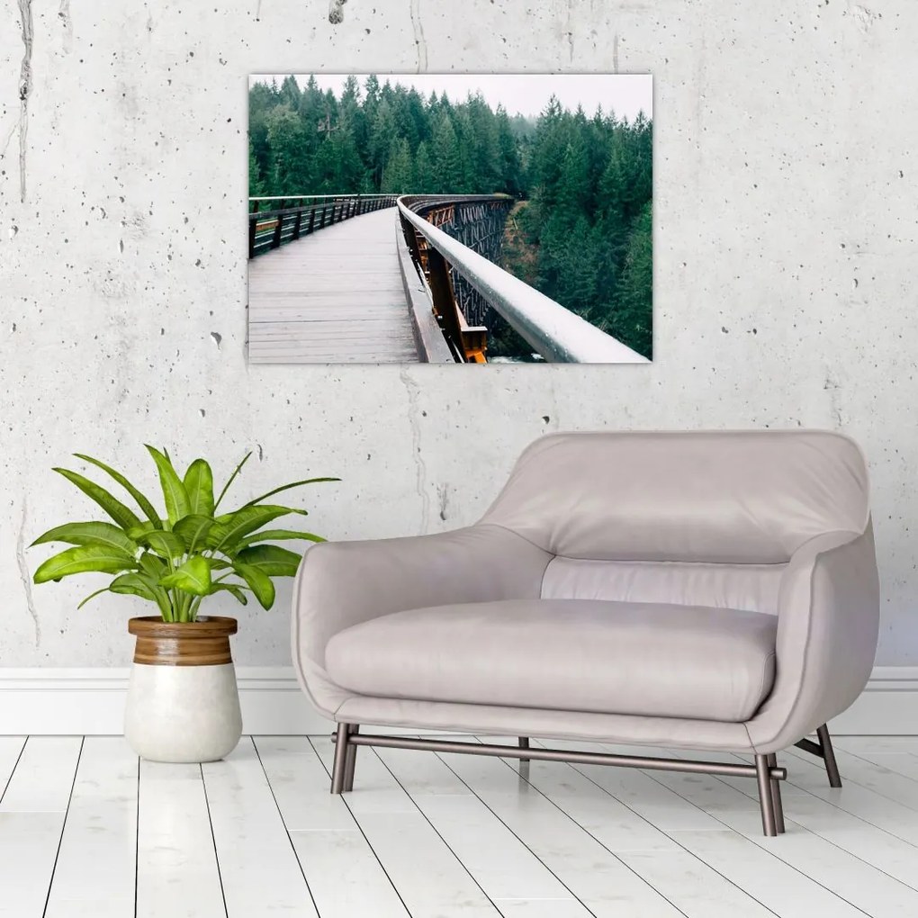 Tablou - Pod spre vârfurile copacilor (70x50 cm)