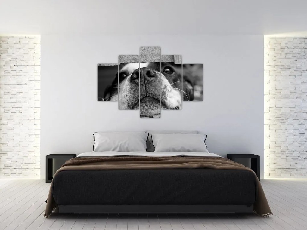Tablou cu câine (150x105 cm)