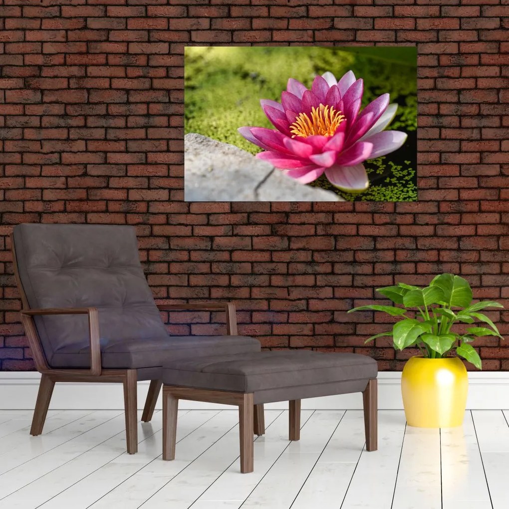 Tablou - Lotus (90x60 cm)