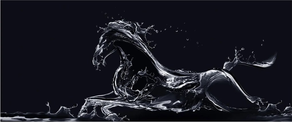 Tablou - Cal și apă (120x50 cm)