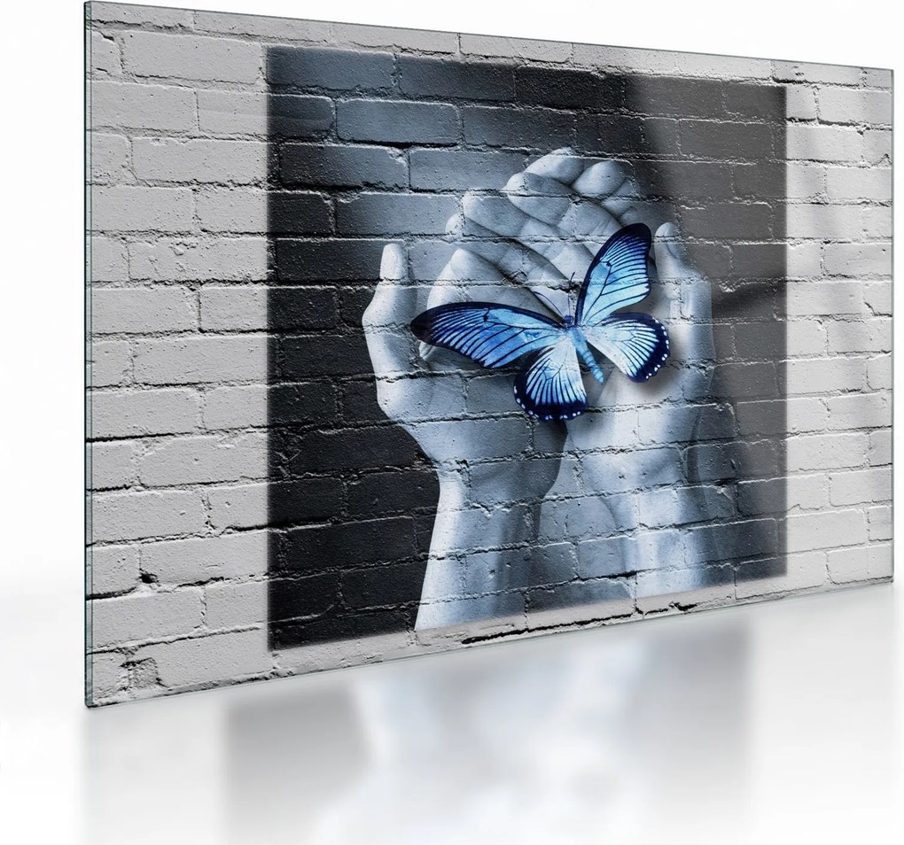 Tablou pe sticlă - Fluture pe perete (70x50 cm)