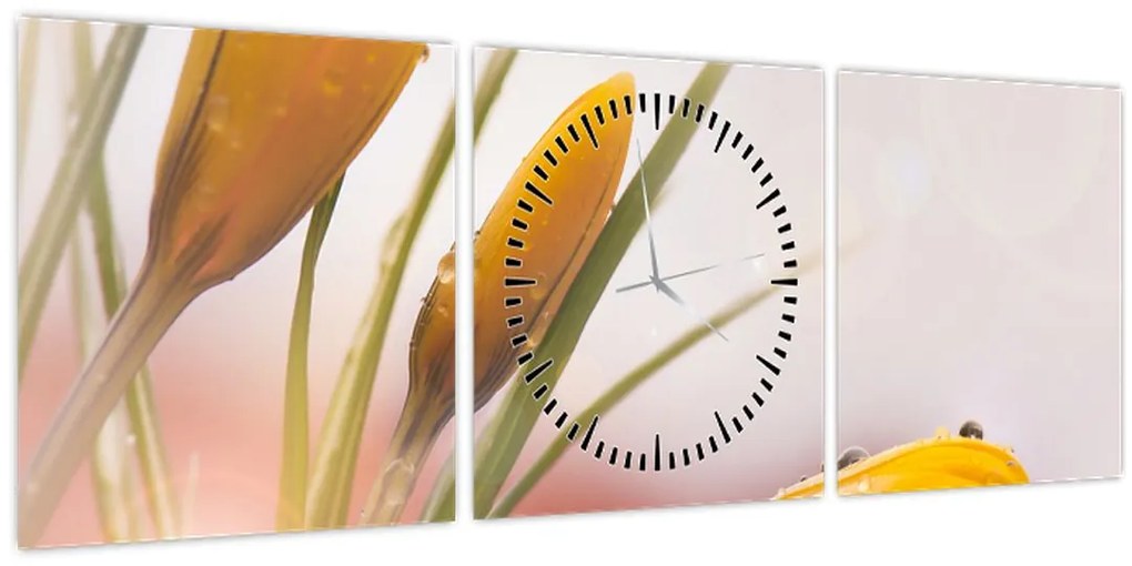 Tablou - Flori de primăvară (cu ceas) (90x30 cm)
