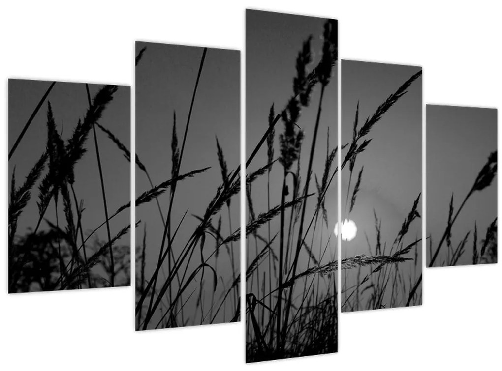 Tablou - Pajiște cu apus de soare (150x105 cm)