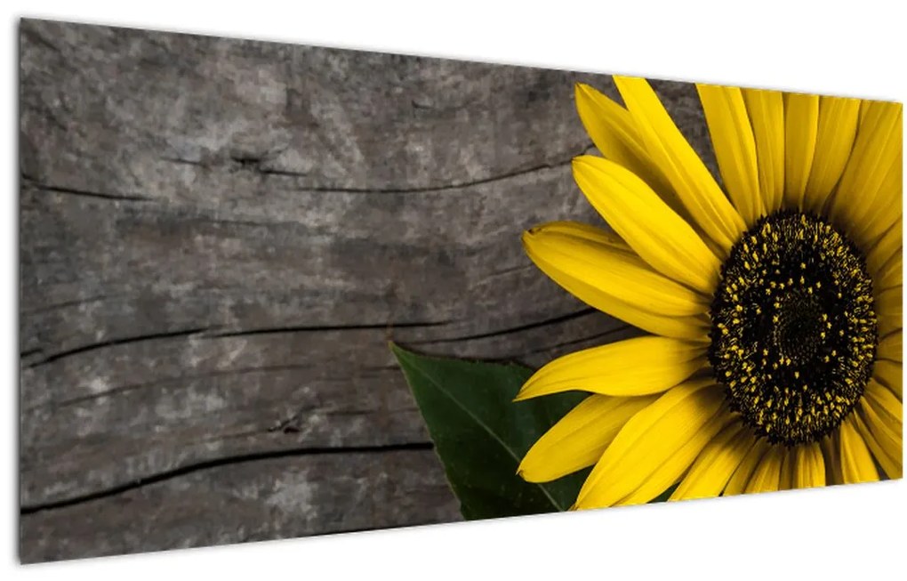 Tablou - Floare de floarea soarelui (120x50 cm)