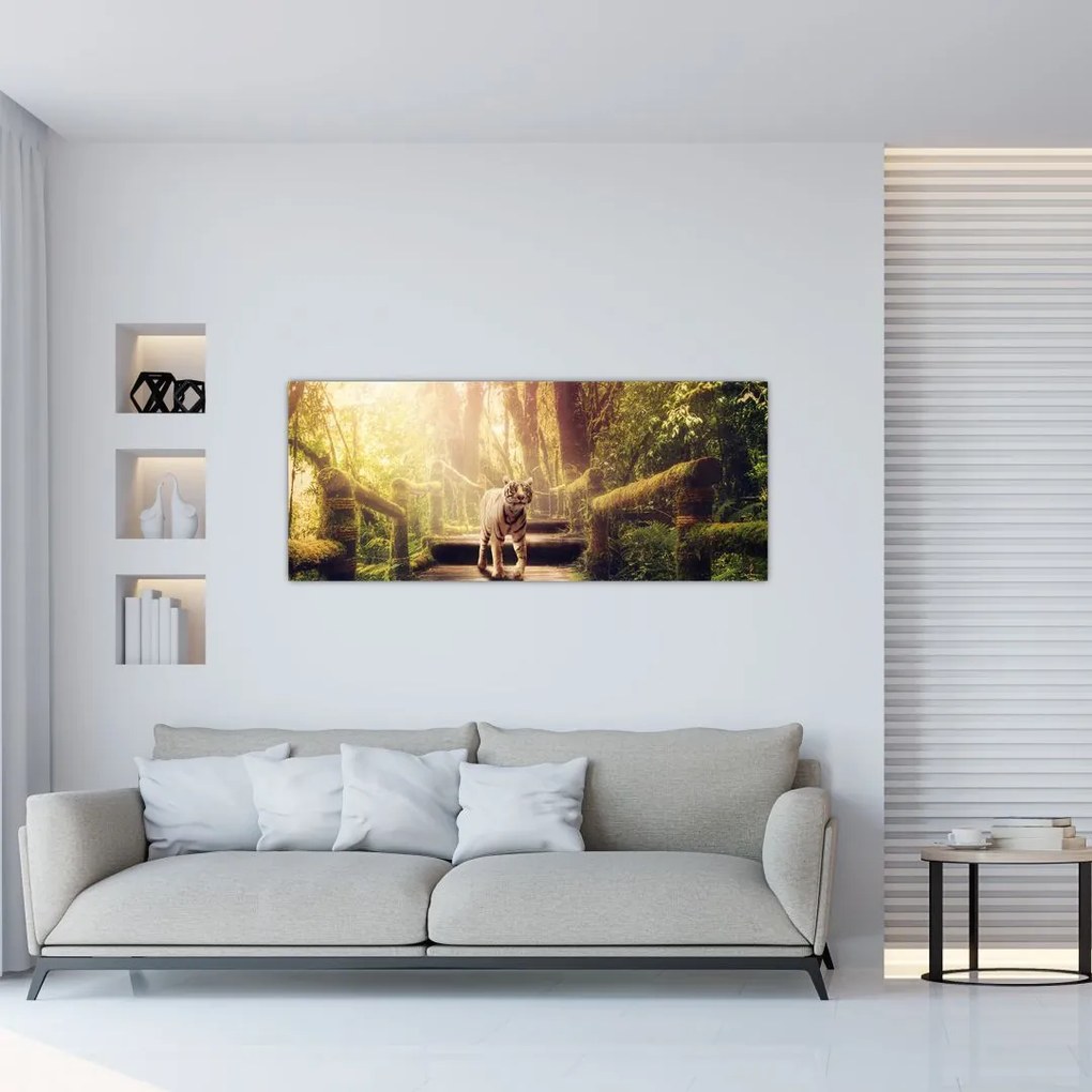 (120x50 cm), în 40 de alte dimensiuni noi