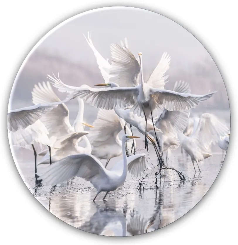 Styler Imagine din sticlă rotundă - Herons