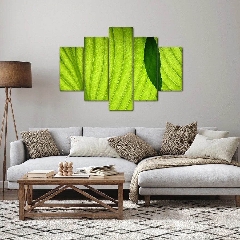 Tablou - Detaliu de frunză verde (150x105 cm)