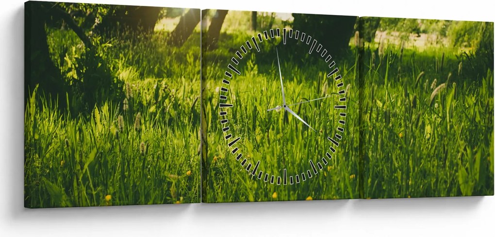 Tablou cu natura - lunca (cu ceas) (90x30 cm)