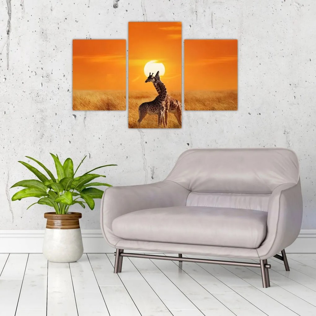 Tablou - Girafe în Parcul Național Serengeti (90x60 cm)