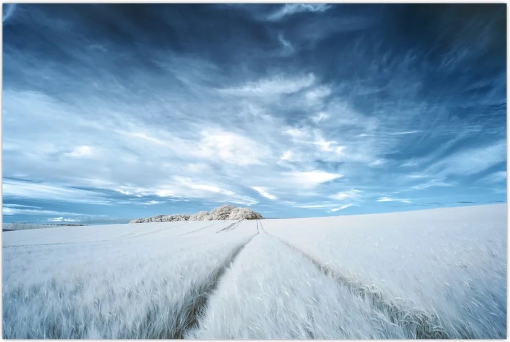Tablou - Câmp (90x60 cm)