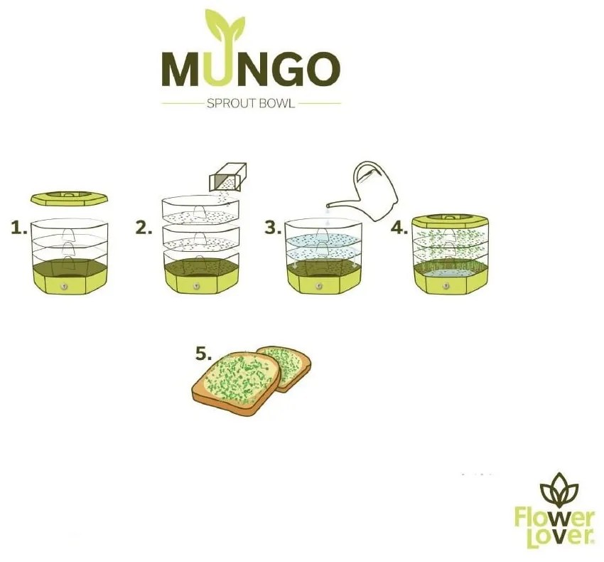 Bol de germinare Flower Lover Mungo, gri antracit
