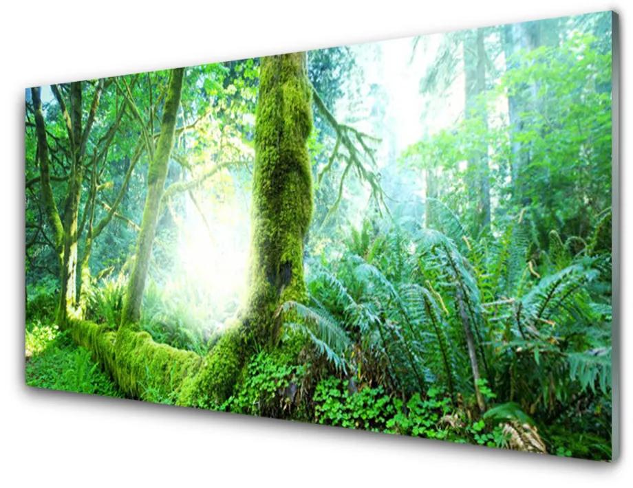 Tablouri acrilice Pădurea Verde Natura