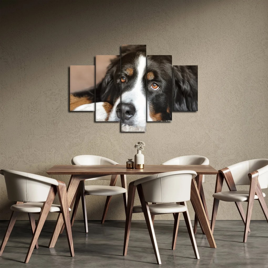 Tablou cu câine (150x105 cm)