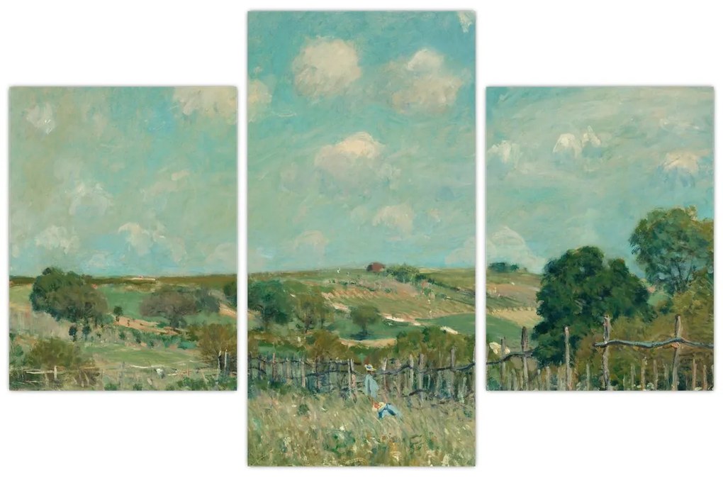 Tablou - Alfred Sisley,  Meadow, reproducere (90x60 cm)